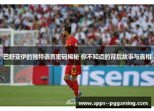 巴舒亚伊的独特语言密码揭秘 你不知道的背后故事与真相