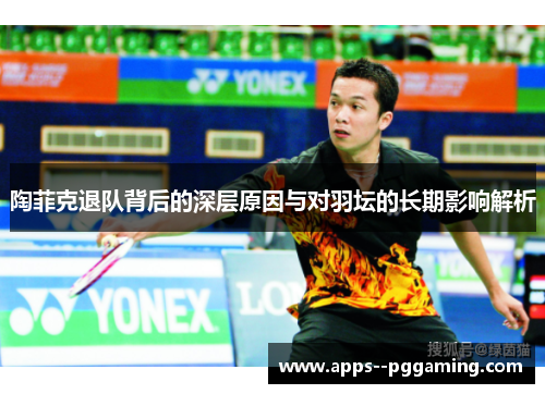 陶菲克退队背后的深层原因与对羽坛的长期影响解析