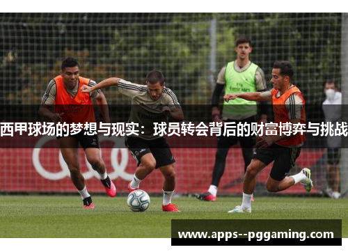 西甲球场的梦想与现实：球员转会背后的财富博弈与挑战