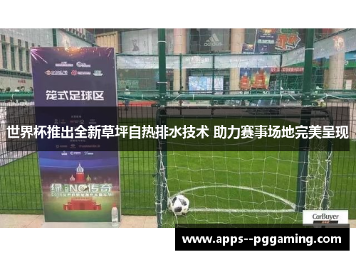 世界杯推出全新草坪自热排水技术 助力赛事场地完美呈现